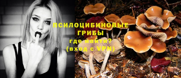 mdpv Фёдоровский
