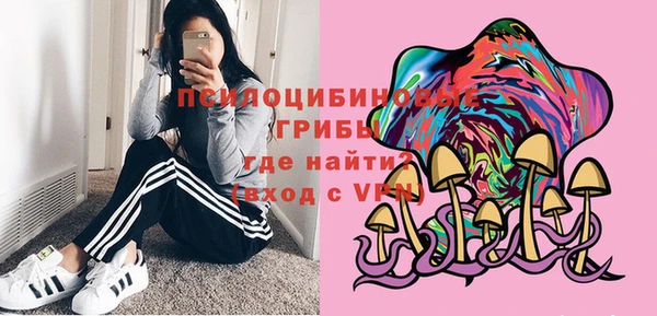молекула духа Кодинск