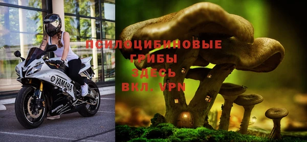 молекула духа Кодинск
