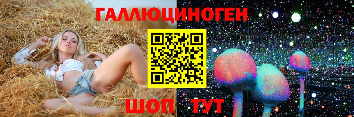 Псилоцибиновые грибы мицелий Краснодар